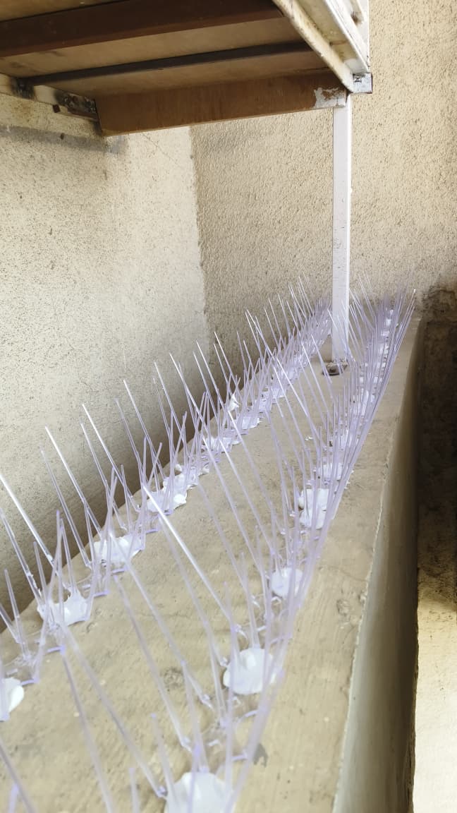 Anti Pigeon Spikes Setup